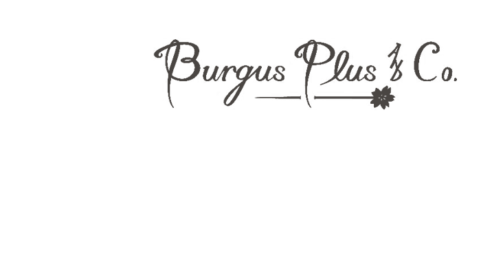 Burgus Plus
