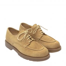 lion  kleman_frodan_lion.jpg