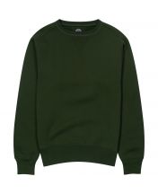 Толстовка Champs Plain Grass Green